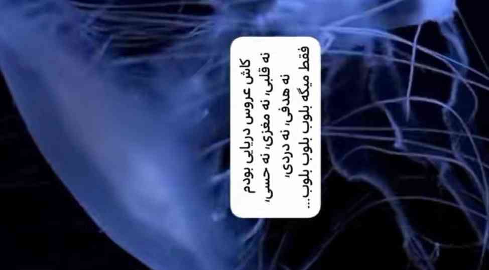 کااااش؟؟؟ 🥲👩🏻‍🦯