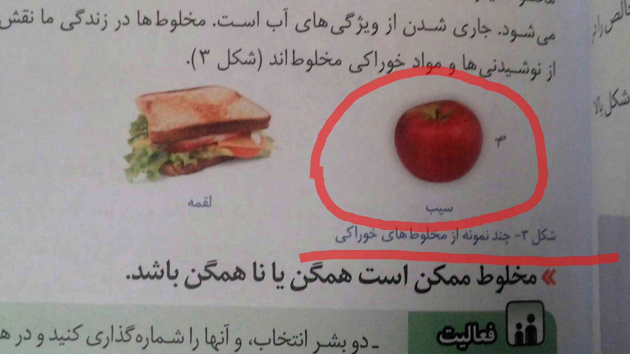 سلام .چرا سیب هم جز مخلوط خوراکی به حساب میاد ؟
