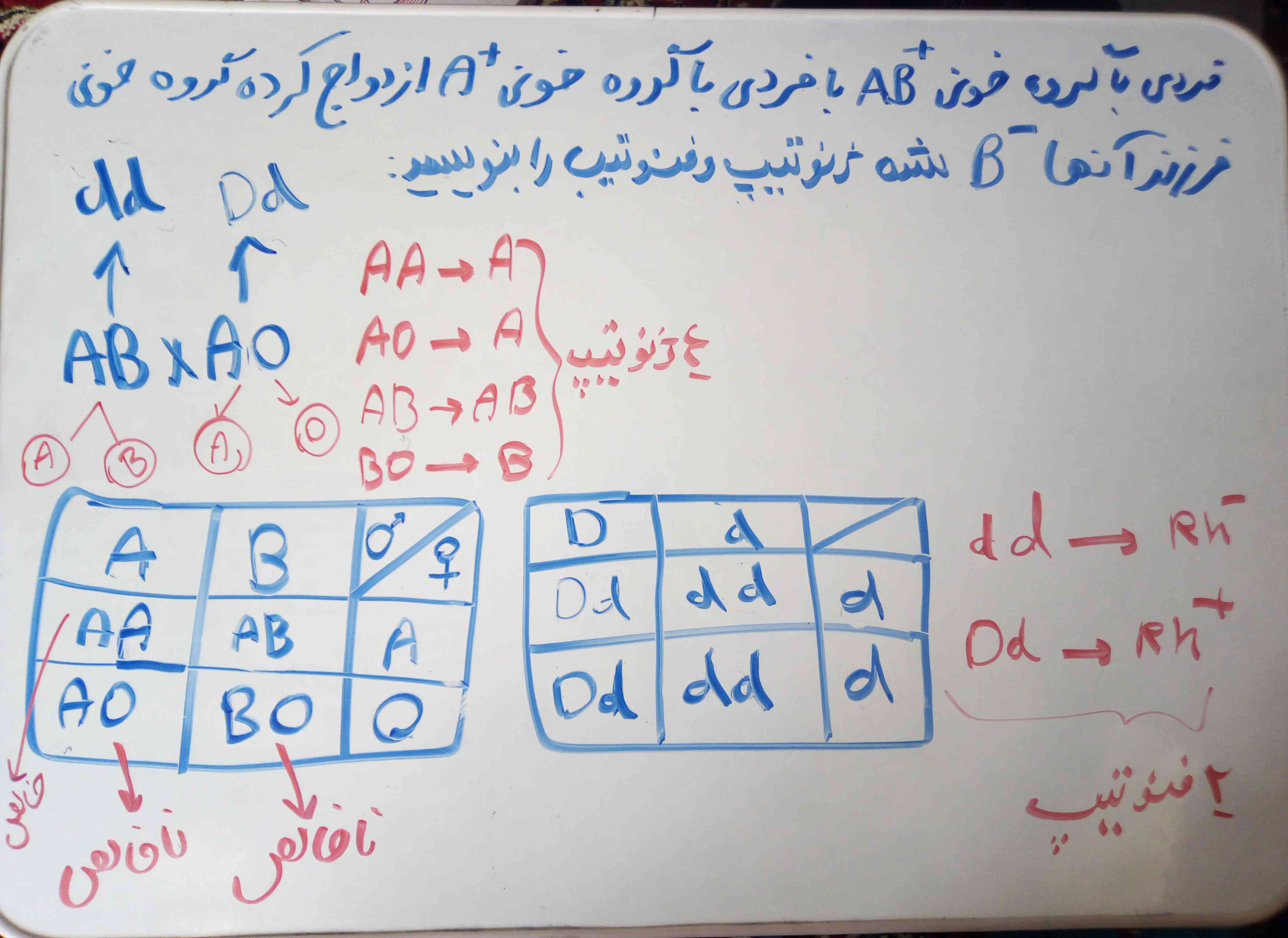 این سوال درست حل شده؟؟؟؟ یا غلط میشه اصلاحش کنید ? در مورد نوشتن ژنوتیپ و فنوتیپ کسی هست توضیح بده  