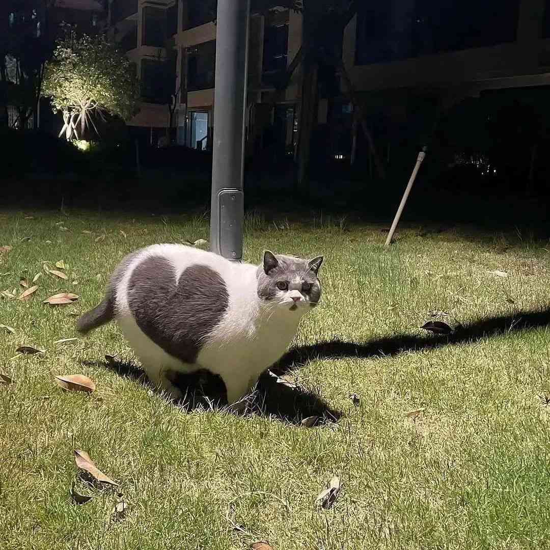 خسته...