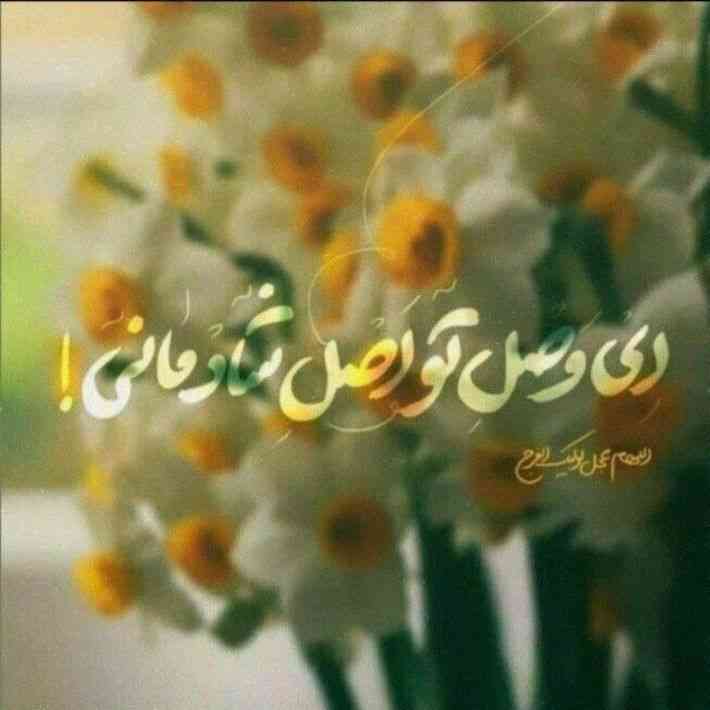 رقیه طالبی