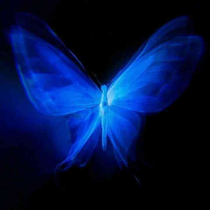 مروه