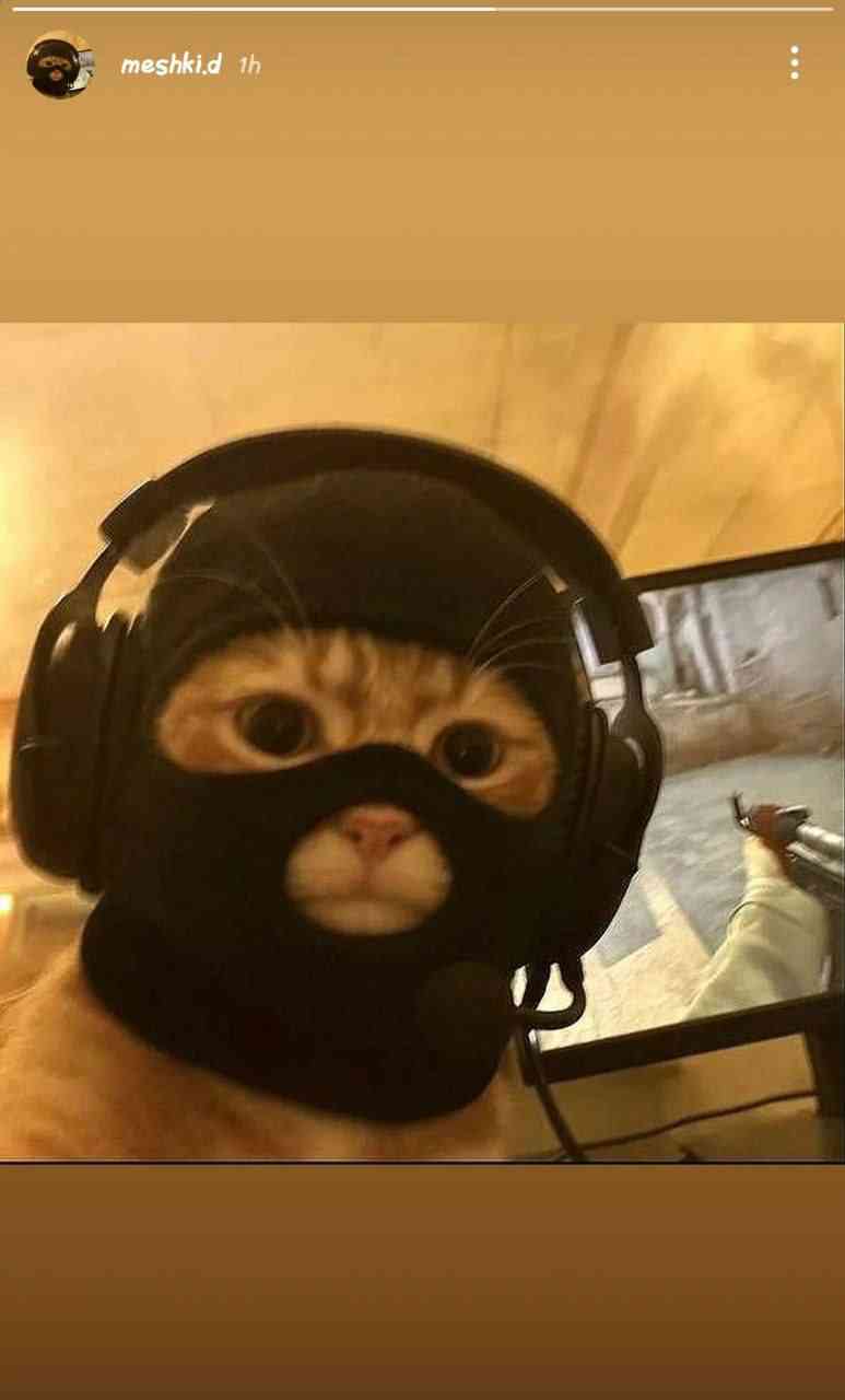 ʙᴇɴʏᴀᴍɪɴ 