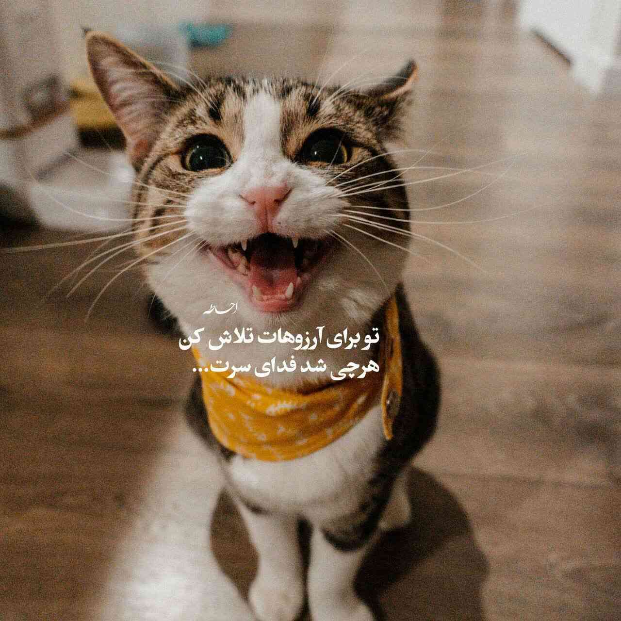 نام