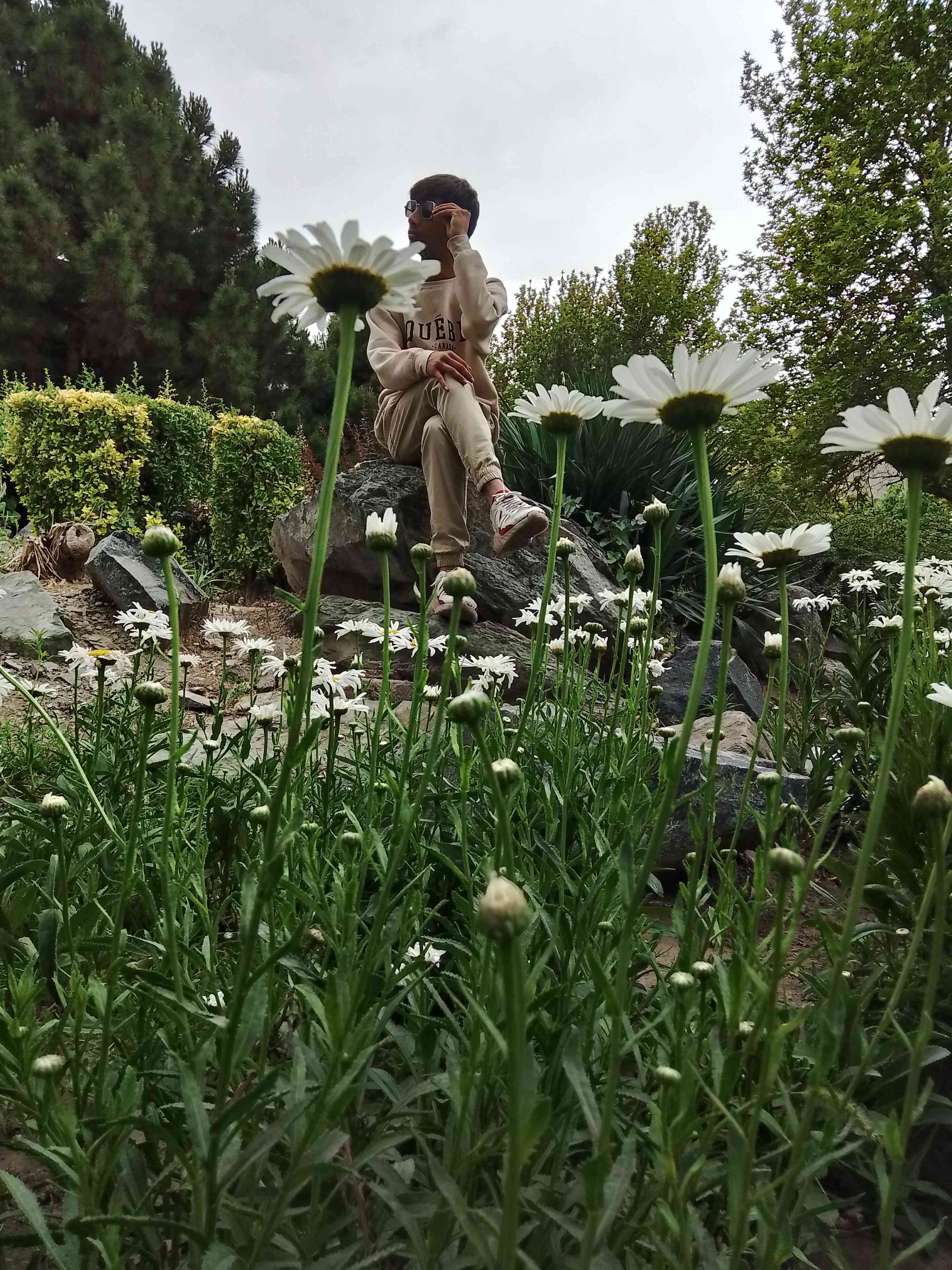 امیرعلی نظری 