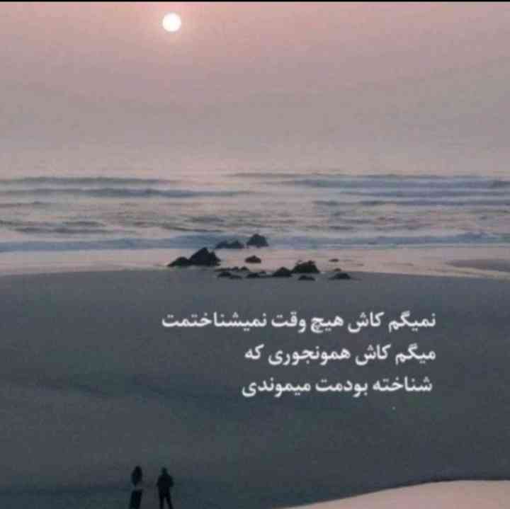 گلی ماه 🌸🌙 