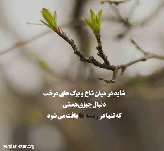 زهیرا