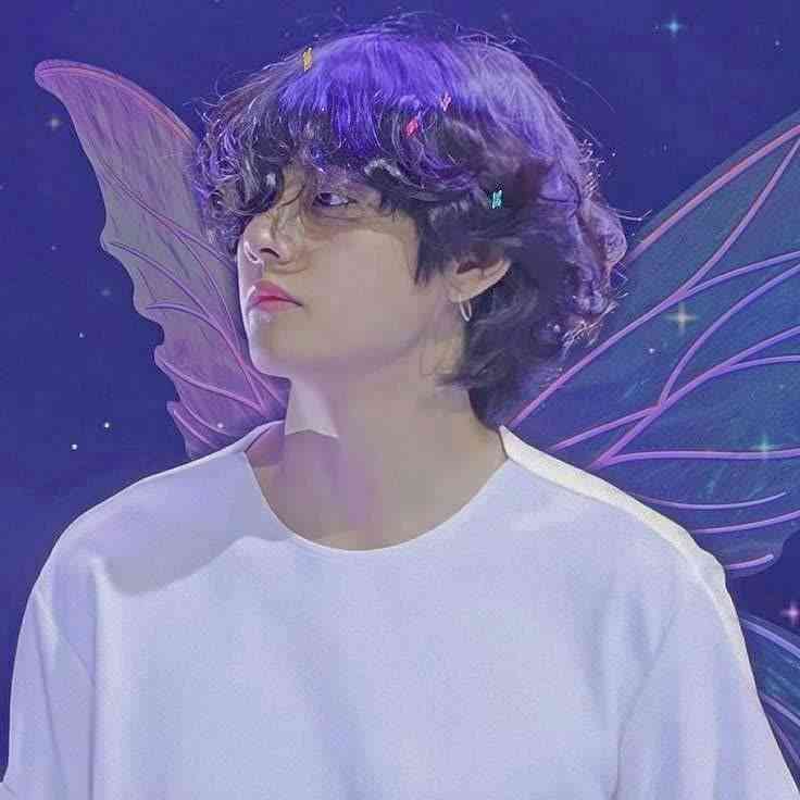 🦋✨️ 