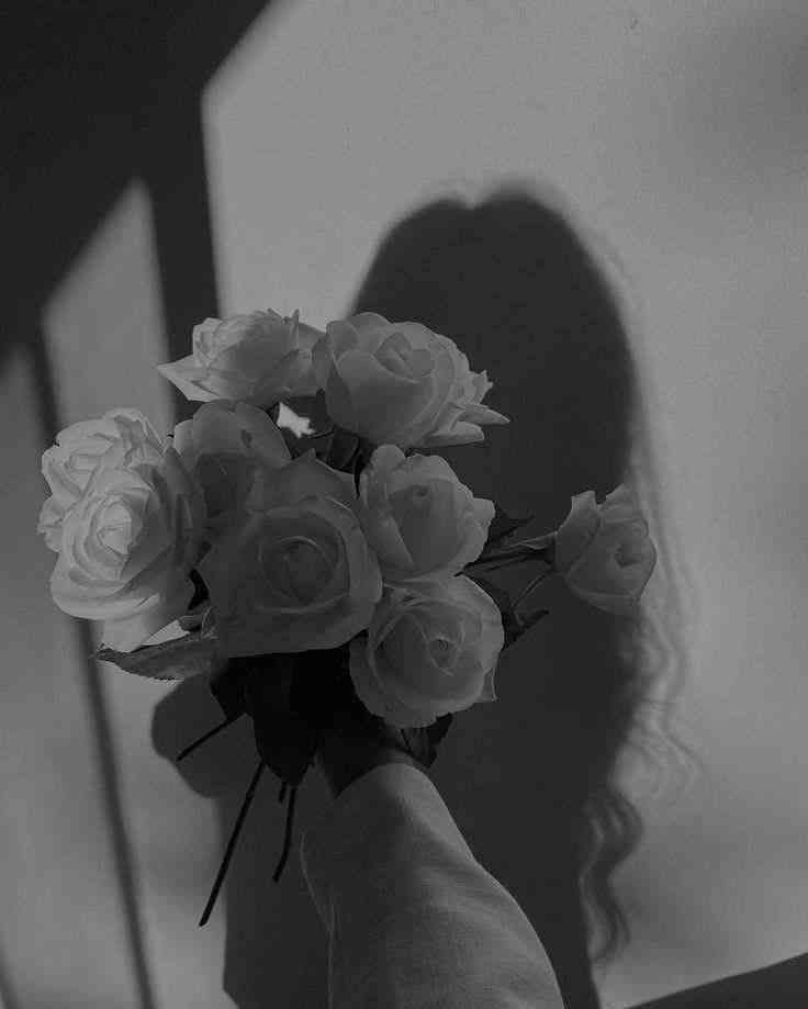 Aylin 🖤 