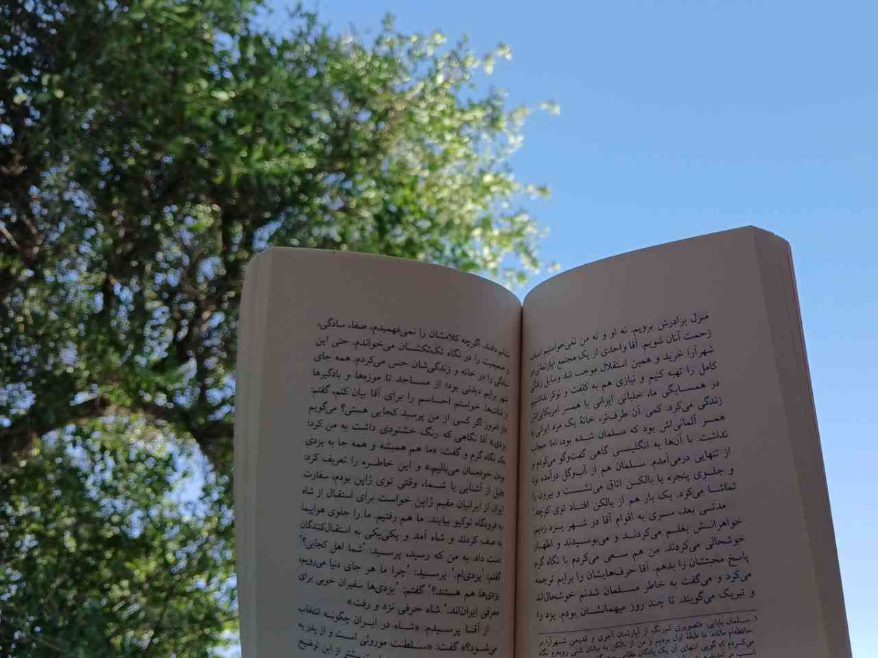 رعد