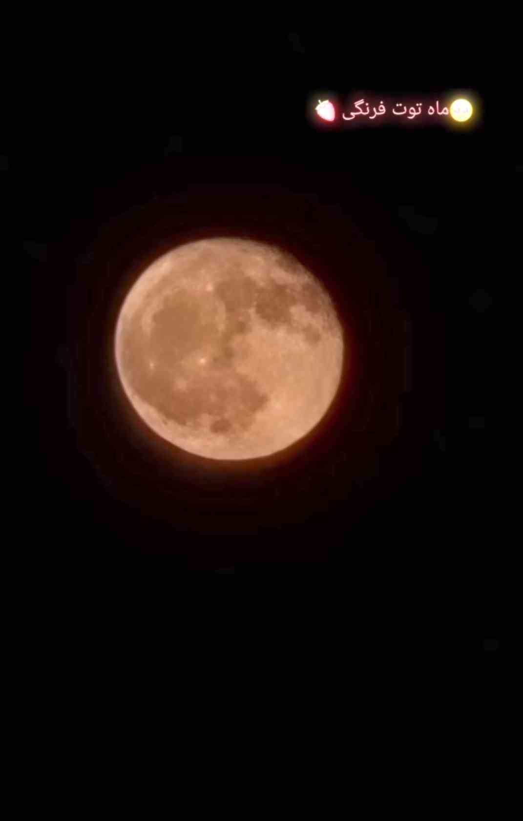 عسل