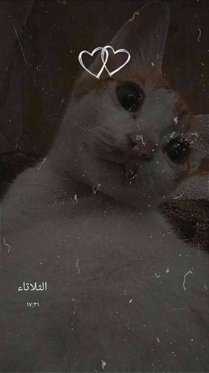 بچه