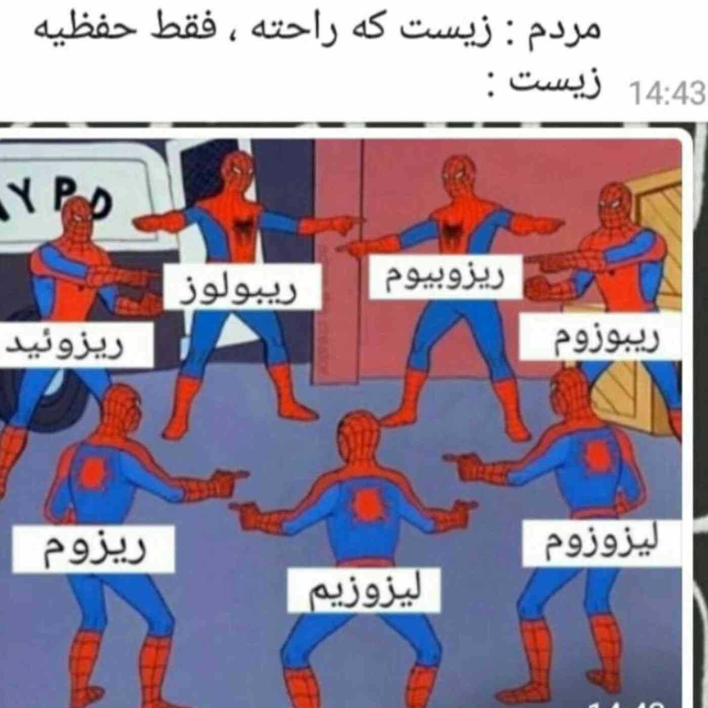 بهار