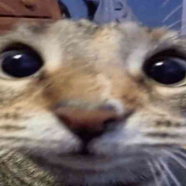 𝐌𝐢𝐚 