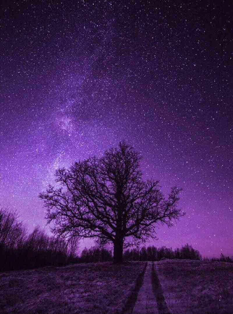 ستایش مینایی 