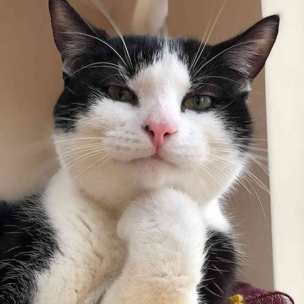 من